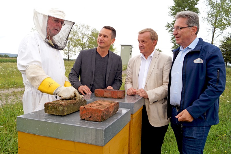 "Asyl" für Bienen: Schutzzonen des WLV bieten den Bienen einen (noch) intakten Lebensraum!