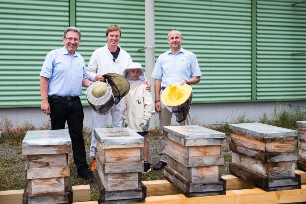 Platz für Bienenstöcke